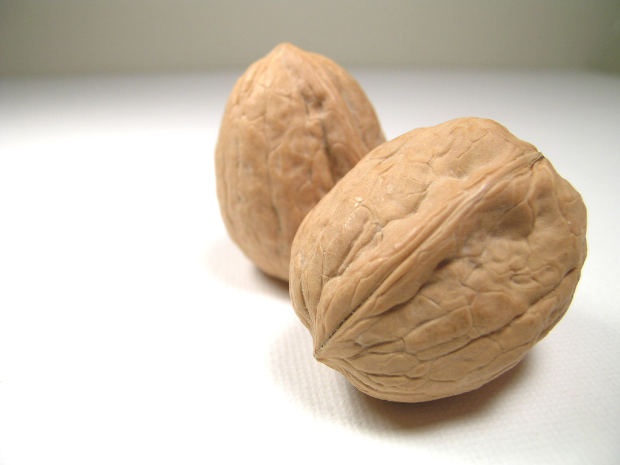 two walnuts